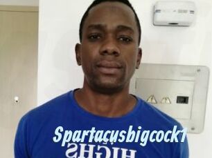 Spartacusbigcock1