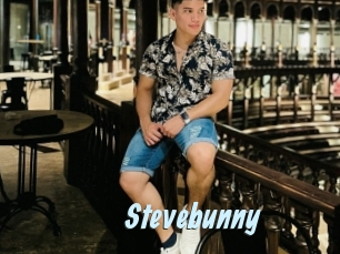 stevebunny Gay Sex Prev