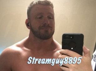 Streamguy8895