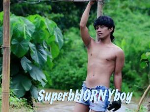 SuperbHORNYboy