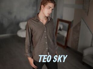 TEO_SKY Gay Sex Prev