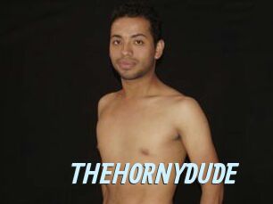 THEHORNYDUDE
