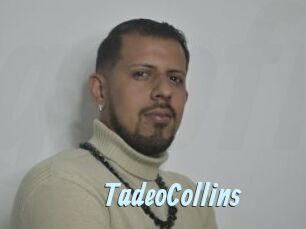 TadeoCollins