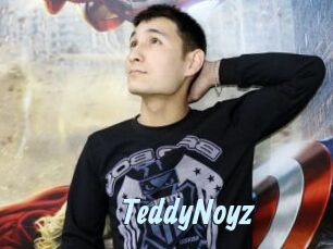 TeddyNoyz