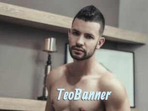 TeoBanner