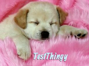 TestThingy