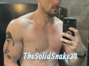 TheSolidSnake23