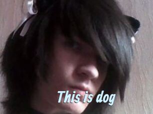 This_is_dog