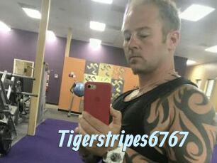 Tigerstripes6767