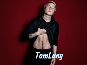 TomLang Gay Sex Prev