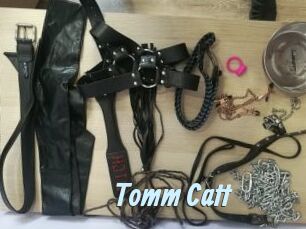 Tomm_Catt