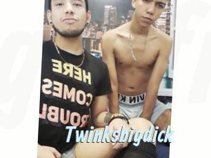 Twinksbigdick