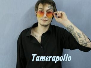 Tamerapollo