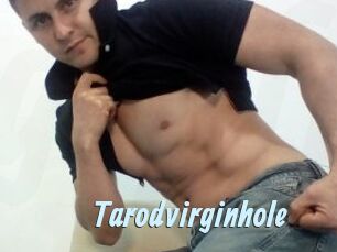 Tarodvirginhole