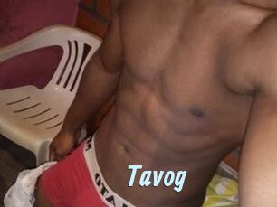 Tavog