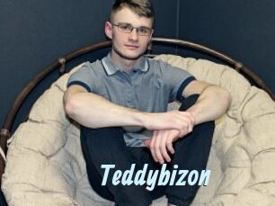 Teddybizon