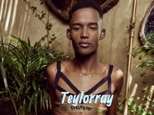 Teylorray