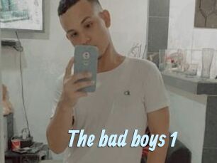 The_bad_boys_1