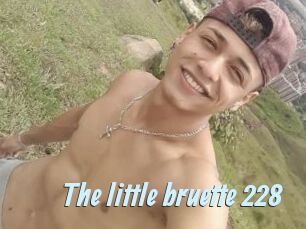 The_little_bruette_228