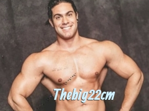 Thebig22cm
