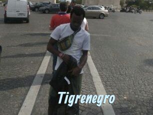 Tigrenegro