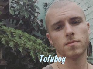 Tofu_boy