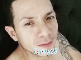 Torvy23