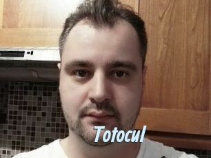 Totocul