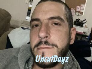 UncutDayz
