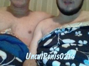 UncutPenis0214