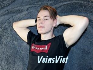 VeinsViet