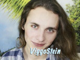 ViggoStein