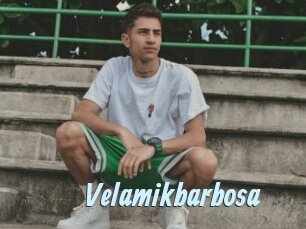 Velamikbarbosa