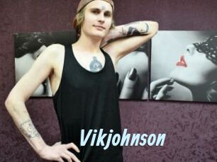 Vikjohnson