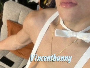 Vincentbunny