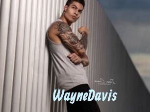 WayneDavis