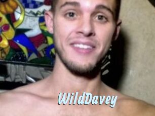 WildDavey