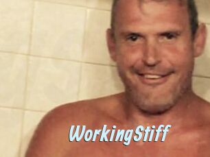 WorkingStiff Gay Sex Prev