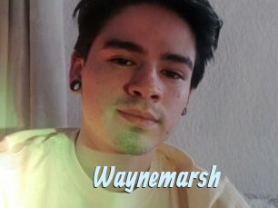 Waynemarsh