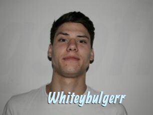Whitey_bulgerr