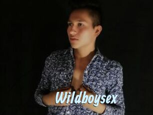 Wildboysex