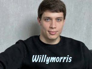 willymorris Gay Sex Prev