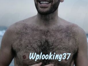 Wplooking37