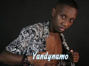 Yandynamo