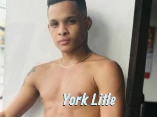 York_Litle Gay Sex Prev