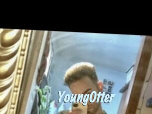 YoungOtter