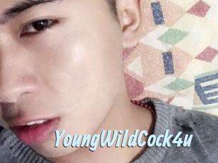 YoungWildCock4u