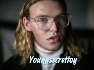 youngsecrettoy Gay Sex Prev