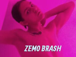 ZEMO_BRASH Gay Sex Prev