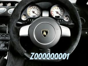 Z000000001